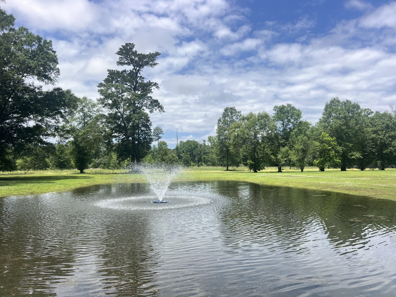 The fountain and the far field