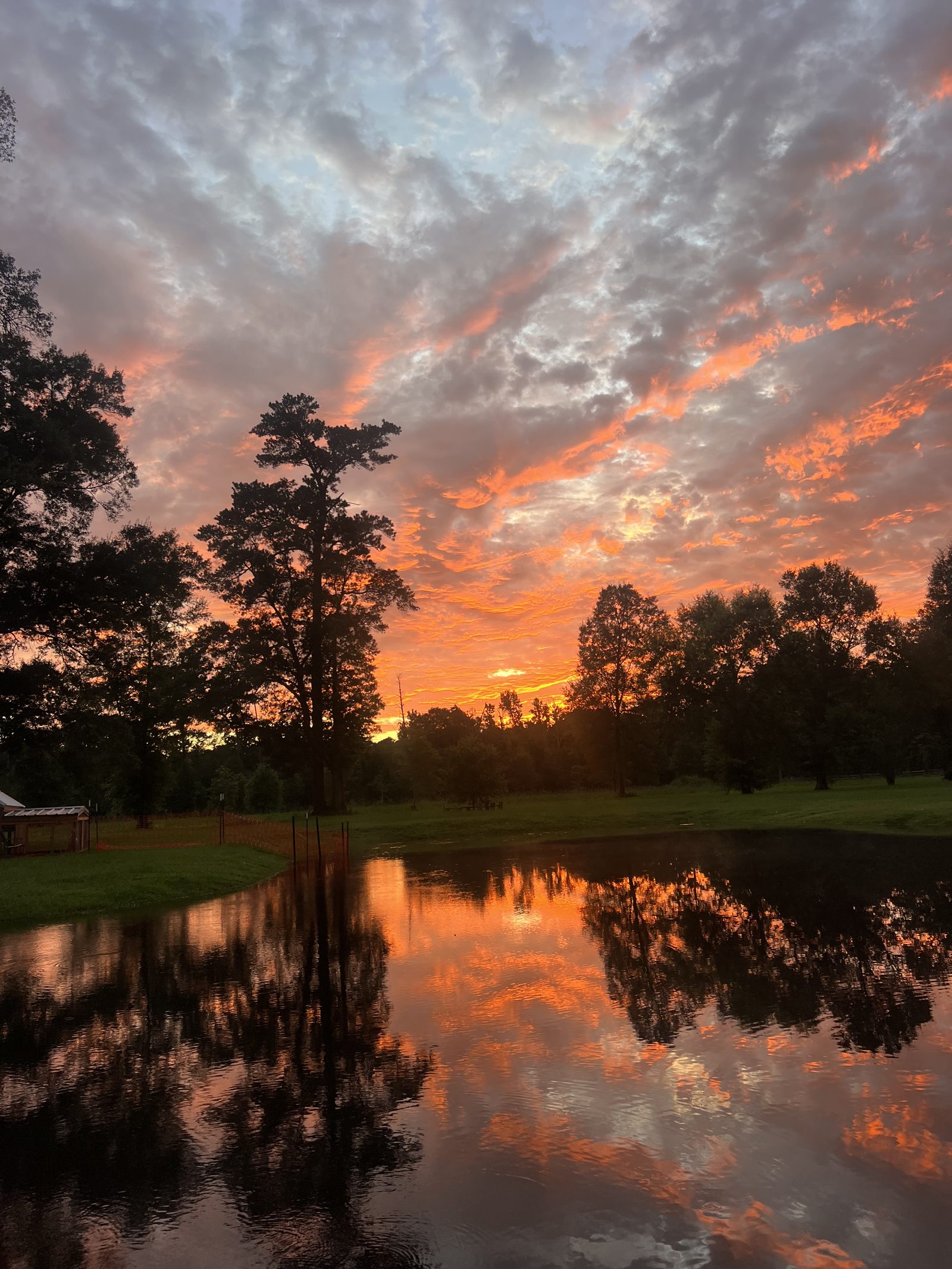 Sunset over the pond